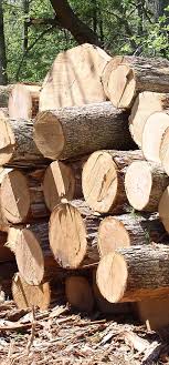 Timber | Supplier & Contractor | Aathaworld Sdn Bhd - timber supplier