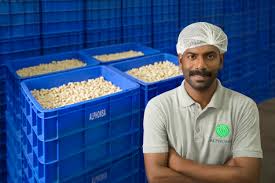Alphonsa Cashew Industries | A Family Legacy Since 1958 - cashew supplier