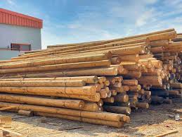 Best Wood Manufacturers in Dubai, UAE | Wood Suppliers - wood supplier