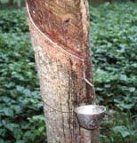 Astlett Rubber Inc. - supplier of rubber