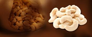 Home - Cashew Manufacturers, Importers & Exporters in kerala - cashew supplier