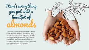 Delivering the Benefits of Almonds to the World - almond supplier