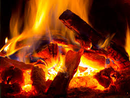 Home | California Charcoal & Firewood - firewood supplier
