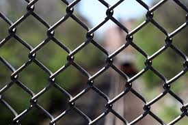Fencing Supplies | Los Angeles | California Fence and Supply - fencing supplier