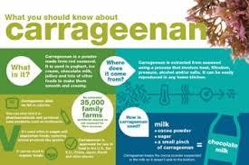 Carrageenan Supplier - A Gelling & Thickening Agent - Cargill - carrageenan supplier