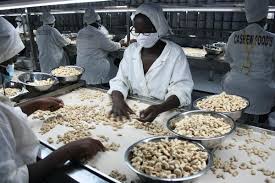 Buy Cashew Nuts | Organic Cashew Nut Kernels | Cashew Coast - cashew supplier