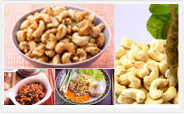 The Cashew Export Promotion Council Of India|cashew supplier in India ... - cashew supplier