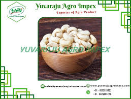 Cashew Nuts Manufacturers in India - Best Quality Cashews - cashew supplier
