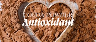 Home - Chankara Cocoa Powder - cocoa powder supplier