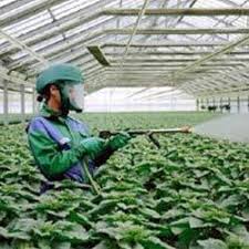 Agrochemicals - ChemGroup - agrochemicals supplier