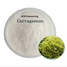 Leading Carrageenan Food & Pharma Supplier | Chemtradeasia - carrageenan supplier