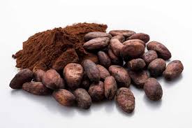 Cocoa Powder Manufacturers in Malaysia: Top List - cocoa powder supplier