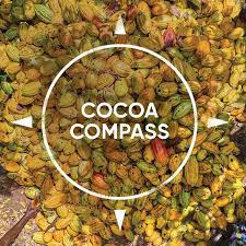 Cocoa Suppliers USA | Sustainable Sourcing Solutions in 2023 - cocoa supplier