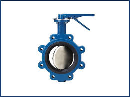 Butterfly Valve Manufacturers in Philippines by Davsgemini Valves - butterfly valve supplier