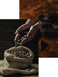 Deprama Cocoa - Deprama Cocoa - cocoa supplier