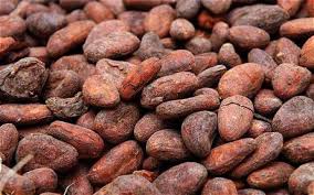 Cocoa Beans Supplier | Wholesale Cocoa Beans Distributor in USA | DHK ... - cocoa supplier