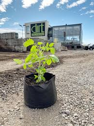 Dirt Exchange - Landscape Materials Delivery - topsoil supplier
