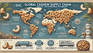 ECOM Nuts & Ingredients: Sustainable Sourcing and Quality Supply Chain ... - cashew ingredients supplier