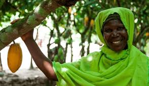 ECOM Cocoa: Sustainable Sourcing and Supply Chain Solutions for Cocoa ... - cocoa supplier