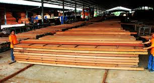Timber Company in Philippines | Filtra Timber - plywood supplier