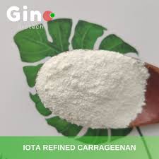 e407 Carrageenan Supplier, Producer, Manufacturer in China - carrageenan supplier