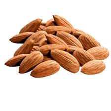Gleo International General Trading LLC. | Welcome - almond supplier