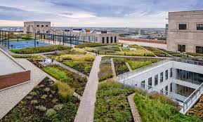 Green Roof Product Supplies | Green Roofs | Eco Roofs | Roof Gardens - green roofing supplier