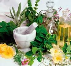 Herbal Extract Manufacturers, Botanical Extract Suppliers - botanical extracts supplier from india