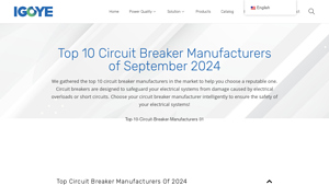 Top 10 Circuit Breaker Manufacturers of September 2024 - circuit breaker supplier