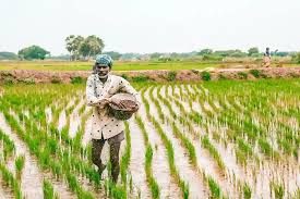 Top 9 Fertilizer Companies in the World - IMARC Group - fertiliser supplier