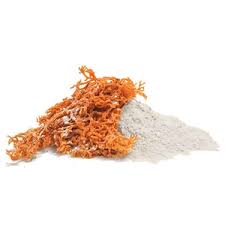 CARRAGEENAN - Indonesia Seaweed - carrageenan supplier