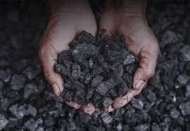 Lian Yam Chiang | Charcoal & Firewood supplier - firewood supplier