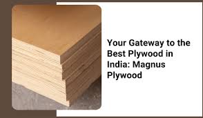 Best Plywood Manufacturer and Supplier in India |Magnus Plywood - plywood supplier