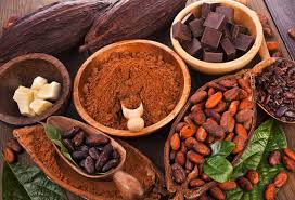 Maju Ekspor - maju ekspor | cocoa powder | cocoa chocolate | Deutch ... - cocoa powder supplier