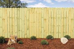 Fencing at Menards® - wood fence supplier