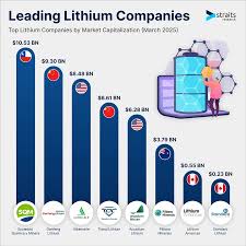 Top 5 Largest Lithium Mining Companies by Market Cap - largest supplier of lithium