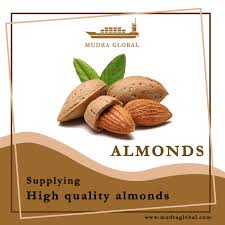 Almond Suppliers in India - Mudra Global International - almond supplier