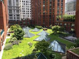New York Green Roofs - green roofing supplier