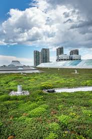Home - Next Level Stormwater Management - Canada's Green Roof Supplier - green roofing supplier