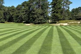 Noble Turf - Your Trusted Turf Supplier in Mt. Laurel, NJ - fertilizer supplier