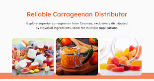 Carrageenan Supplier | Premier Carrageenan Distributor - carrageenan supplier