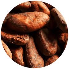World-leading cocoa supplier - ofi - cocoa supplier