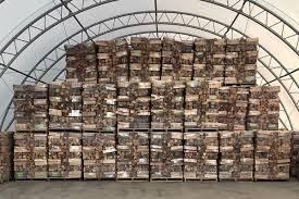 Wholesale Bundled Firewood Shipped to You - ProCut Firewood - firewood supplier