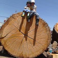 P&S Firewood, LLC - Firewood Supplier - Sacramento, California - firewood supplier
