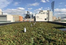 Sempergreen ǀ Market leader in solutions for green roof ǀ living wall ǀ ... - green roofing supplier