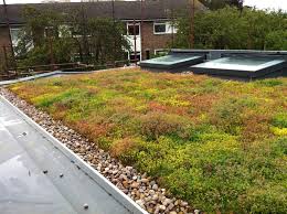 Specialists in Green Roofs, Grass Roofs and Eco Roofs | Sky Garden - green roofing supplier