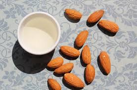 Top 10 Almond ingredients supplier in the World 2025 - almond ingredients supplier
