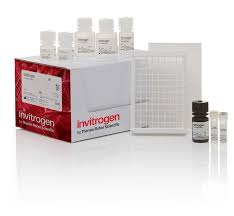 Superoxide Dismutase (SOD) Activity Colorimetric Assay Kit - Superoxide ... - superoxide dismutase supplier