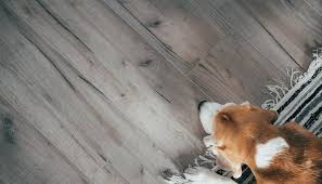 Canada's Largest Online Flooring Supplies Retailer | FloorBox - wood flooring supplier