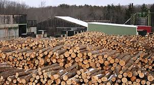 The Wood Yard - wood flooring supplier